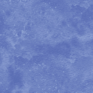 Toscana Delphinium - 442